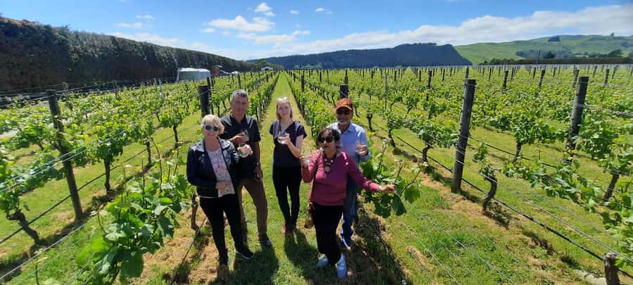 From Wellington: Martinborough Winery Tour - The drive from Wellington to the Remutaka Summit