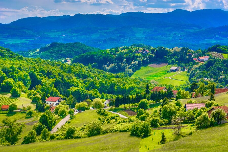 From Zagreb: Fairytale Castle & Wine Tasting & Lunch - A local lunch that carries real weight