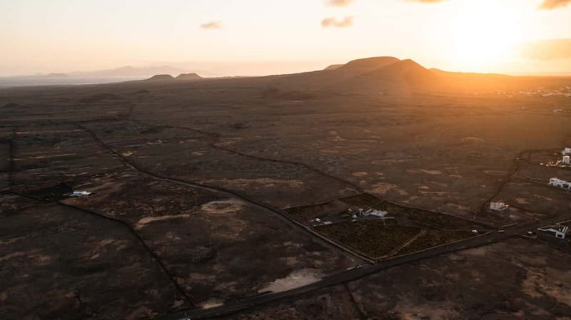 Fuerteventura: Tour & tasting at Conatvs Winery - Why a Fuerteventura vineyard is worth your time