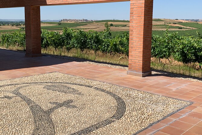 Full day at the winery, visit, tasting, aperitif and lunch - Arriving above the Duero near La Horra