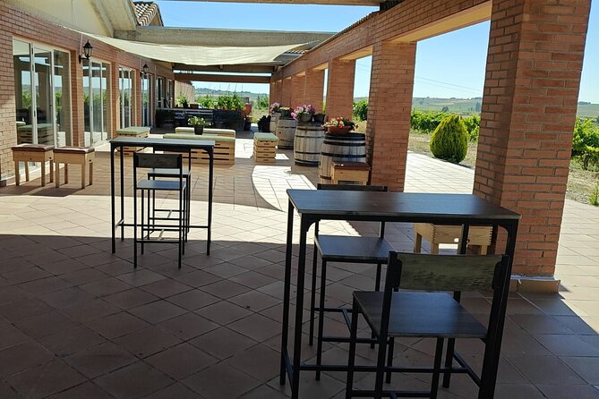Full day at the winery, visit, tasting, aperitif and lunch - The aperitif is a meal in miniature