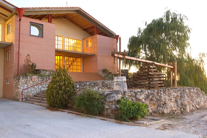 Full day at the winery, visit, tasting, aperitif and lunch - How much value do you get for $74.52?