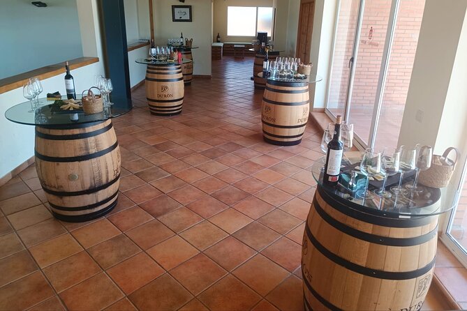 Full day at the winery, visit, tasting, aperitif and lunch - Who will enjoy this afternoon most?