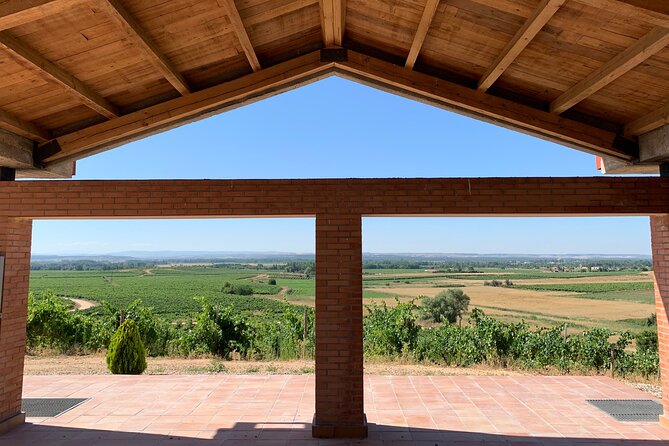 Full day at the winery, visit, tasting, aperitif and lunch - Three wines from Bodegas Durón estates