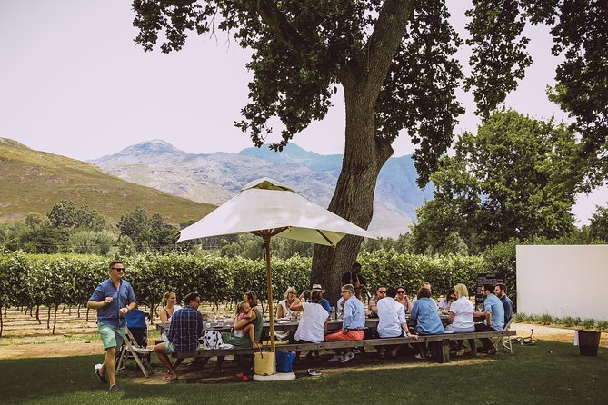 Full-Day Franschhoek Hop On Hop Off Wine Tram Tour from Cape Town - Lunch, tasting fees, and the real cost of the day