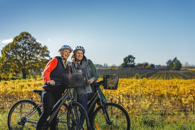 Full-Day Marlborough Wine Region Bike Hire - Key points for planning your ride