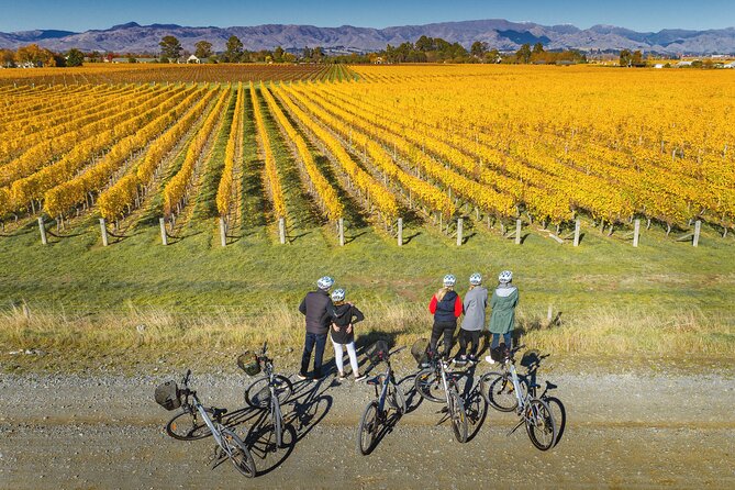 Full-Day Marlborough Wine Region Bike Hire - What the $43 price really covers