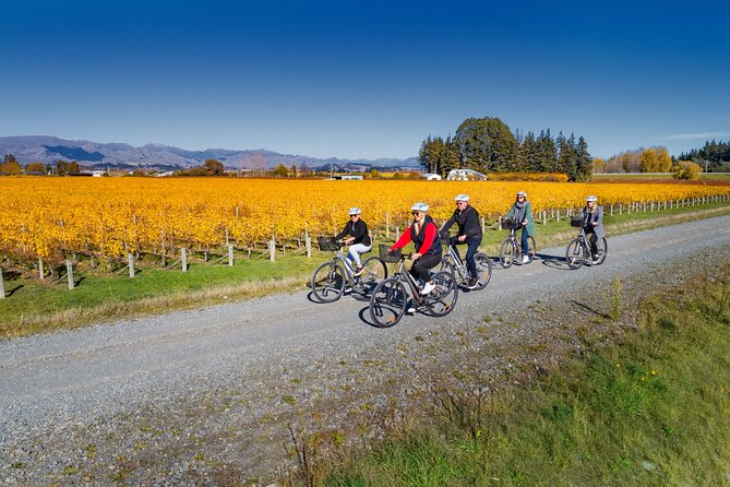 Full-Day Marlborough Wine Region Bike Hire - Who will enjoy this day most?