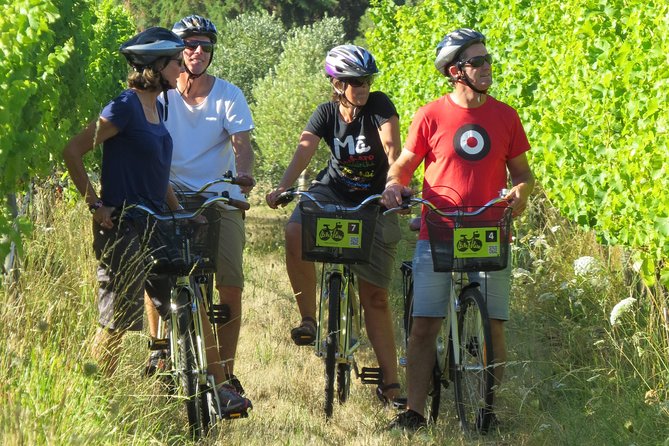 Full-Day Marlborough Wine Region Bike Hire - Following the wine trail through the vineyards
