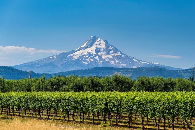 Full-Day Mt Hood Waterfall Tour with Lunch and Wine Included - Why this Portland day trip covers so much