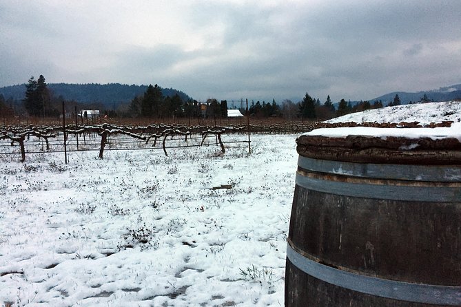 Full-Day Mt Hood Waterfall Tour with Lunch and Wine Included - Hood River Valley, wine, and a proper lunch