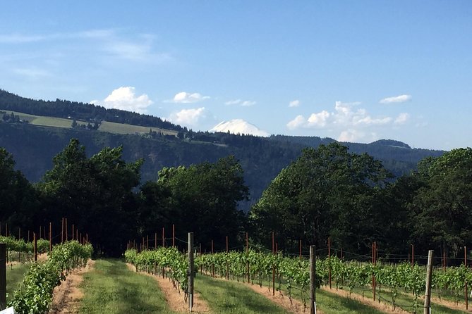 Full-Day Mt Hood Waterfall Tour with Lunch and Wine Included - Mount Hood and the final climb to Timberline Lodge