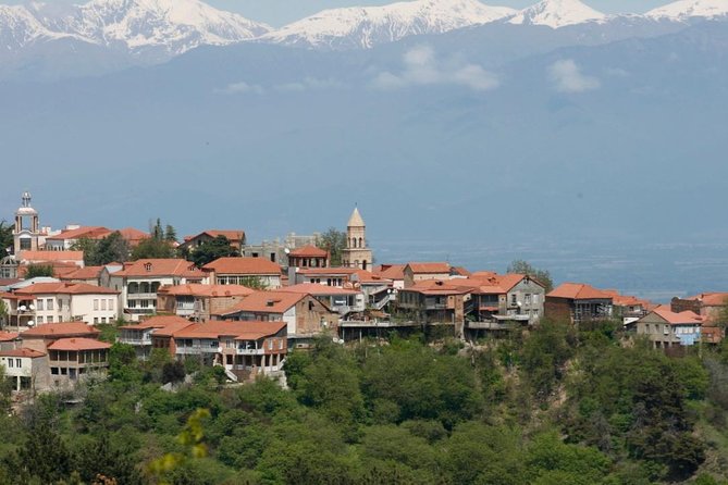 Full Day Private Wine Tour in Kakheti Region with Lunch and 3 Wine Tastings - Key points to know before you book