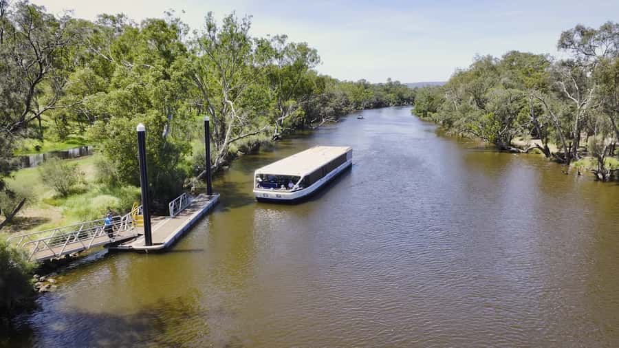 Full-Day Swan Valley Wineries with Lunch and River Cruise - Key points at a glance