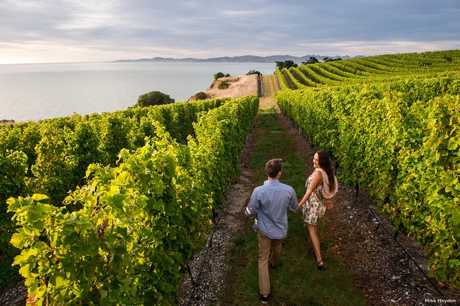 Full-Day Taste the Wines of Marlborough Tour - Key points to know before booking