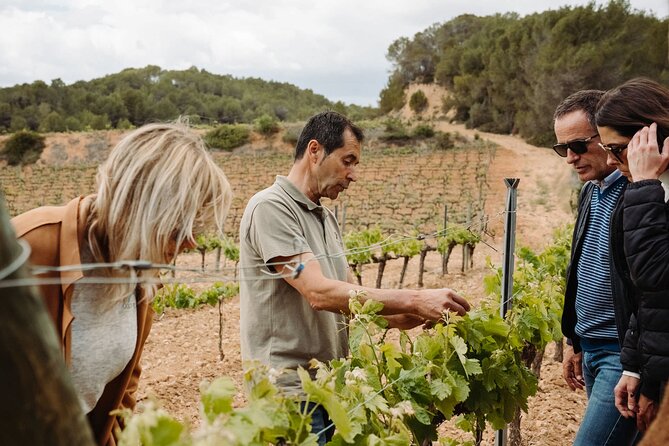 Full-Day Trip Barcelona to Montserrat Monastery & Cava Winery - Choosing your 45 minutes at Montserrat
