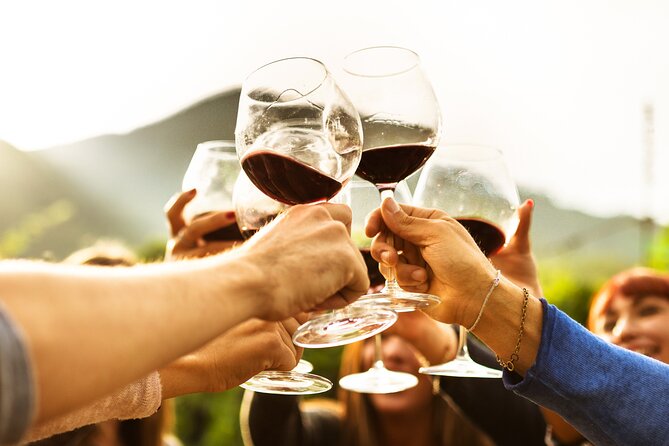 Full-Day Wine Tasting Tour in Auckland with 3-Course Vineyard Lunch - What the guide adds to the day
