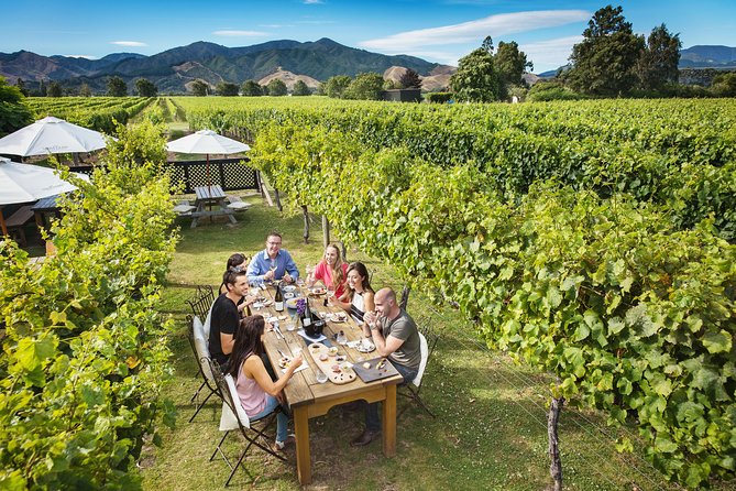 Full Day Winemakers Tour in Marlborough - Lunch at Allan Scott or Saint Clair takes the pressure off