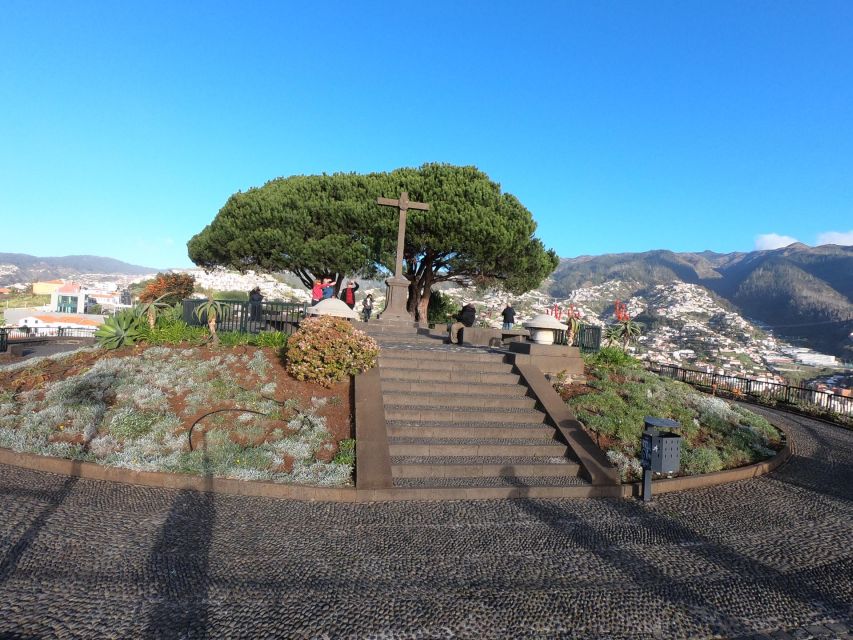 Funchal: Cabo Girão, Wines Tasting and Dolphins Watching - Why this tour works as a full Madeira day
