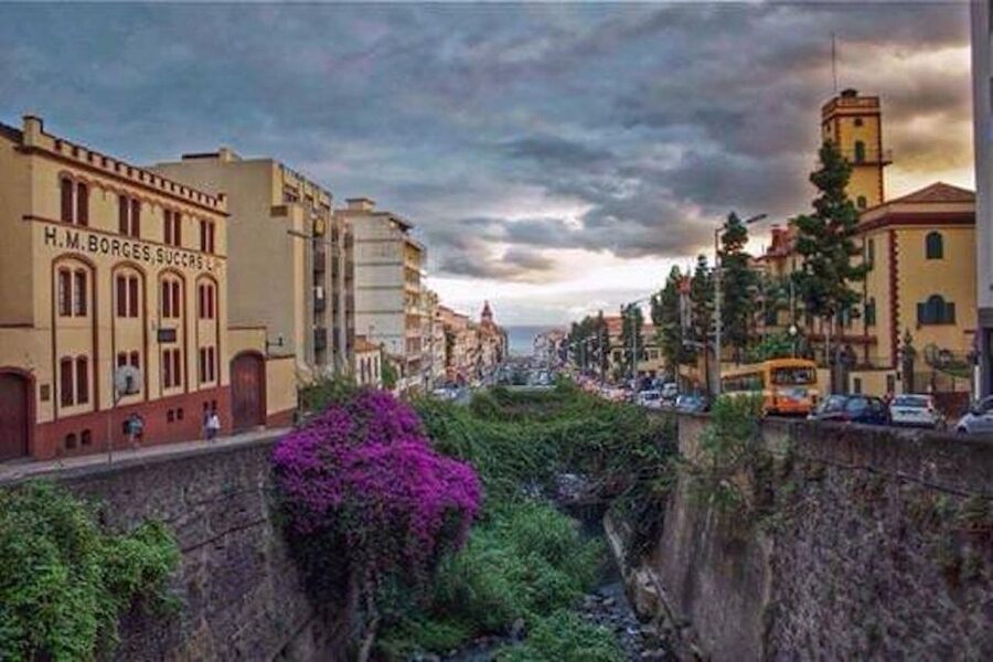 Funchal: H.M. Borges Winery Guided Tour with Wine Tasting - Is the $17 price good value?