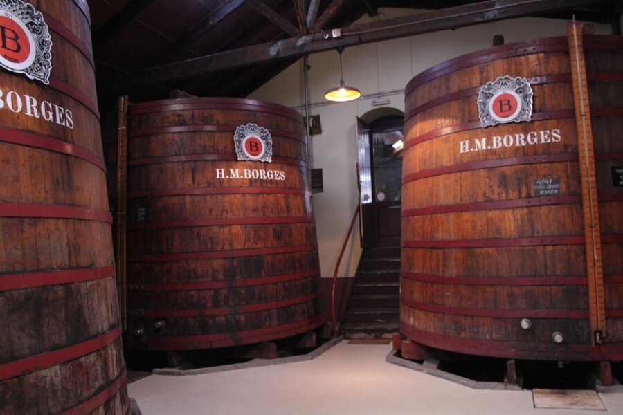 Funchal: H.M. Borges Winery Guided Tour with Wine Tasting - Who will enjoy this Madeira winery tour?