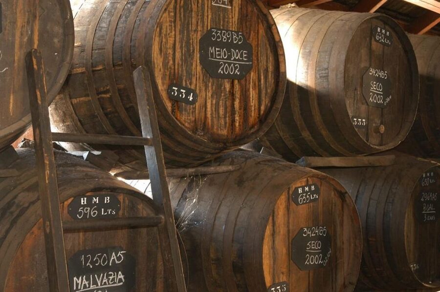 Funchal: H.M. Borges Winery Guided Tour with Wine Tasting - Seeing how Madeira wine is made