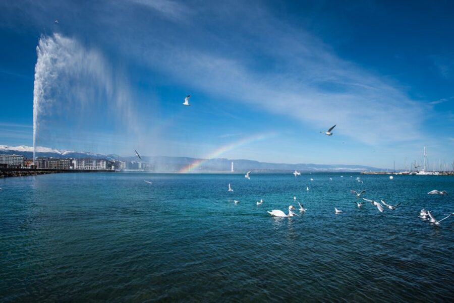 Geneva: Scenic Lake Cruise with Snacks and Wine - Seeing the Jet d’Eau from the lake