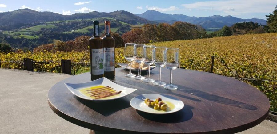 Getaria Txakoli wine tour from San Sebastian - What the guide adds