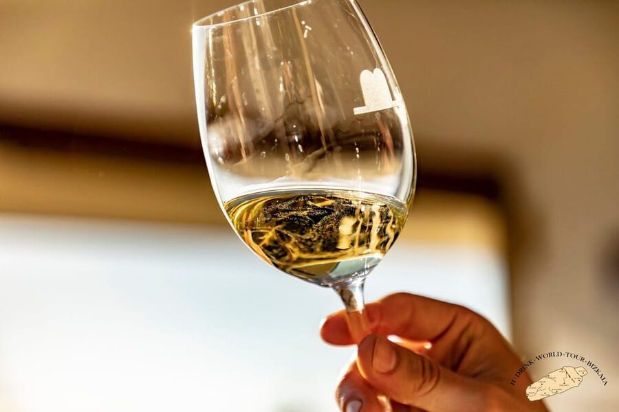 Getaria Txakoli wine tour from San Sebastian - The tasting: four wines and a Gilda