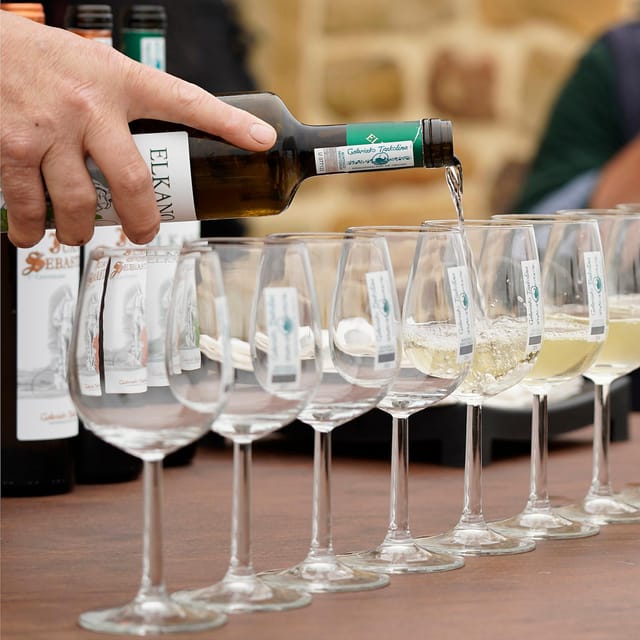 Getaria Txakoli wine tour from San Sebastian - What the $171 price includes
