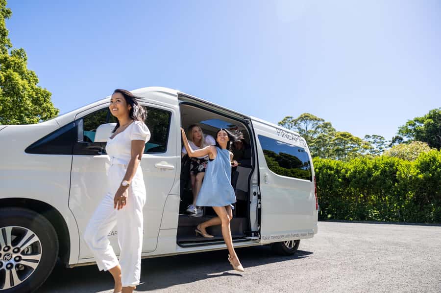 Gold Coast: Premium Wine Tour with Gourmet Lunch - Small-group transport with the hard work removed