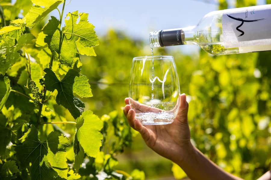 Gold Coast: Premium Wine Tour with Gourmet Lunch - Who gets the most from this $211 day?