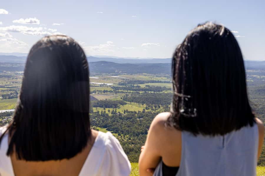 Gold Coast: Premium Wine Tour with Gourmet Lunch - Practical details that can shape your day