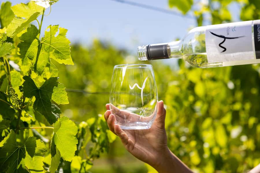 Gold Coast: Tamborine Mountain Local Winery Tour with Lunch - Witches Falls and the optional cheese stop