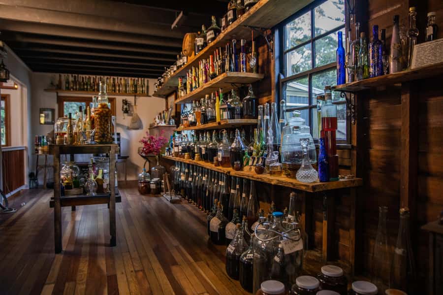 Gold Coast: Tamborine Mountain Local Winery Tour with Lunch - Guides are a major part of the experience