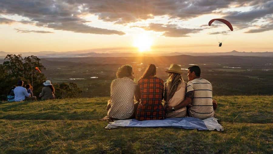 Gold Coast: Tamborine Mountain Local Winery Tour with Lunch - Who will get the most from it