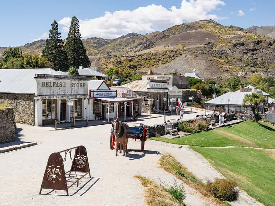 Gourmet Food and Wine Tour with Lunch and Wine Tastings - Price, timing, and practical value