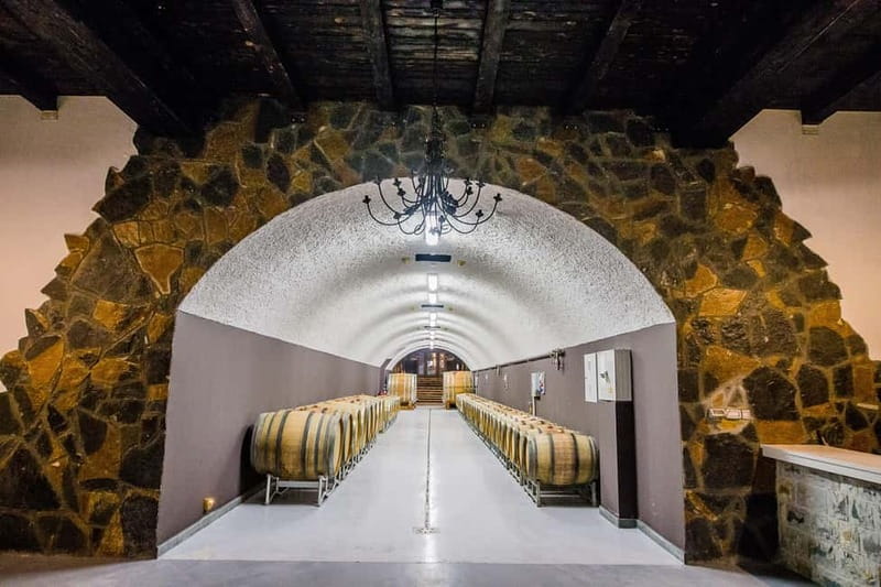 Građani: Winery Tour and Tasting at Winery Lipovac - From bottling lines to a 60-meter cellar