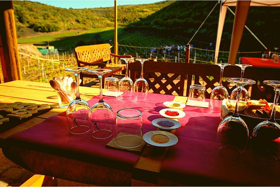 Gran Canaria: Best Wineries and Views Tour - The value of $114 per person