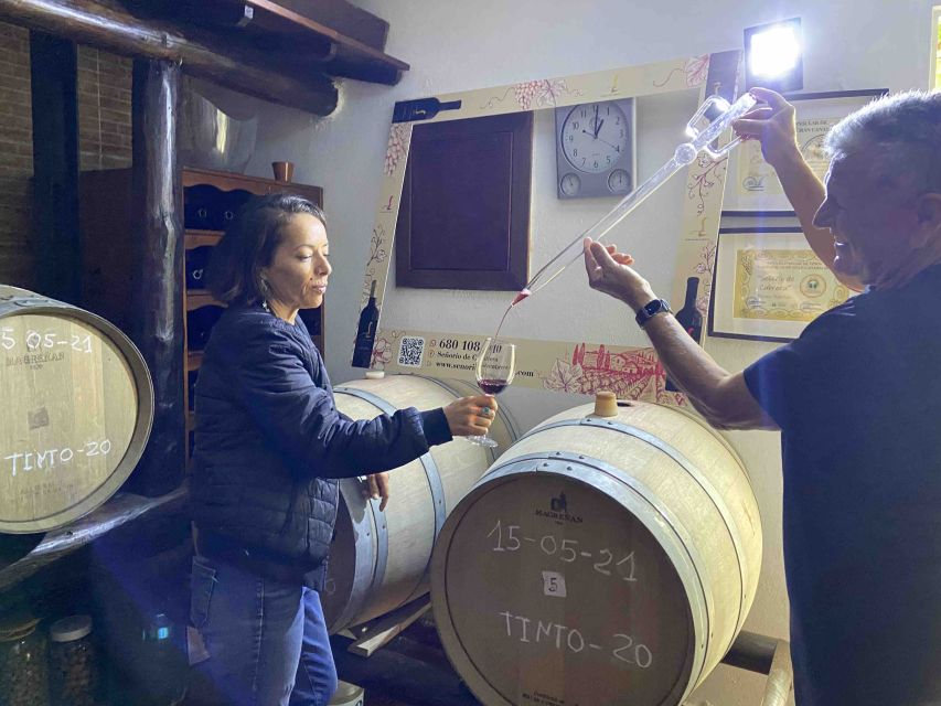 Gran Canaria: Best Wineries and Views Tour - Who should book this experience