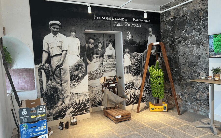 Gran Canaria: Rum, Wines and Banana Tour - The guides make a real difference