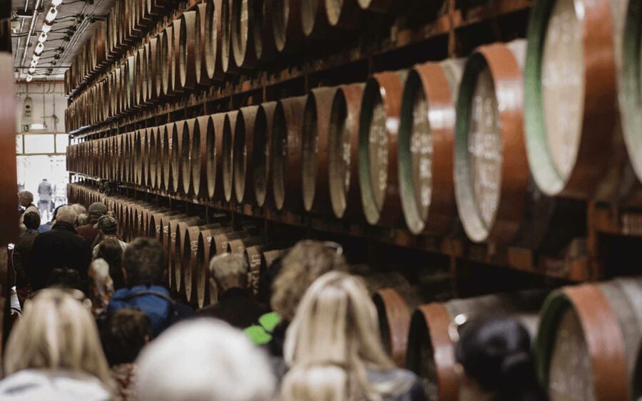 Gran Canaria: Rum, Wines and Banana Tour - Is the tour accessible?