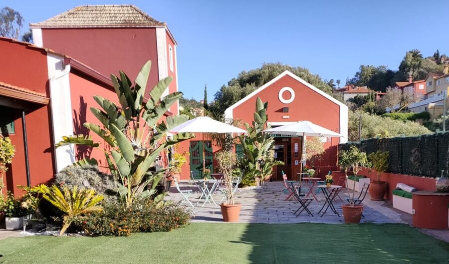 Gran Canaria: Winery Tour, Wine Museum, and Tasting - The 100-year-old stone lagar