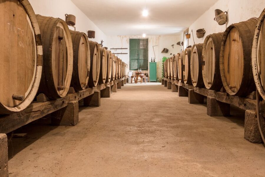 Gran Canaria: Winery Tour, Wine Museum, and Tasting - Entering the cellar and modern production area