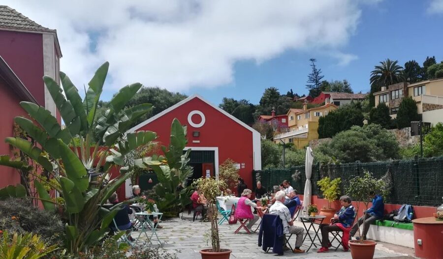 Gran Canaria: Winery Tour, Wine Museum, and Tasting - Price, timing, and practical value