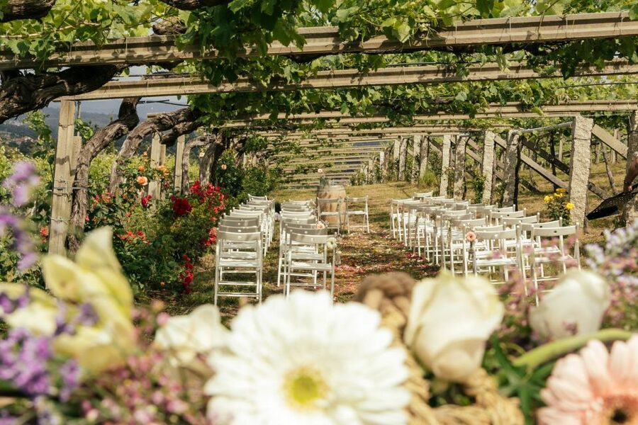 Granbazán Winery: Guided Tour and Wine Tasting - Booking details that matter