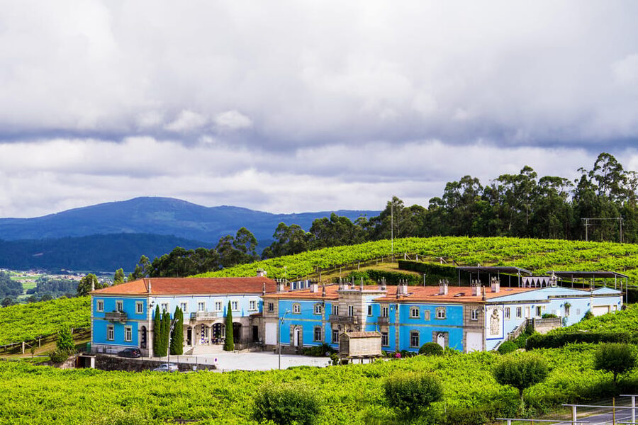 Granbazán Winery: Guided Tour and Wine Tasting - Why Granbazán is worth your time