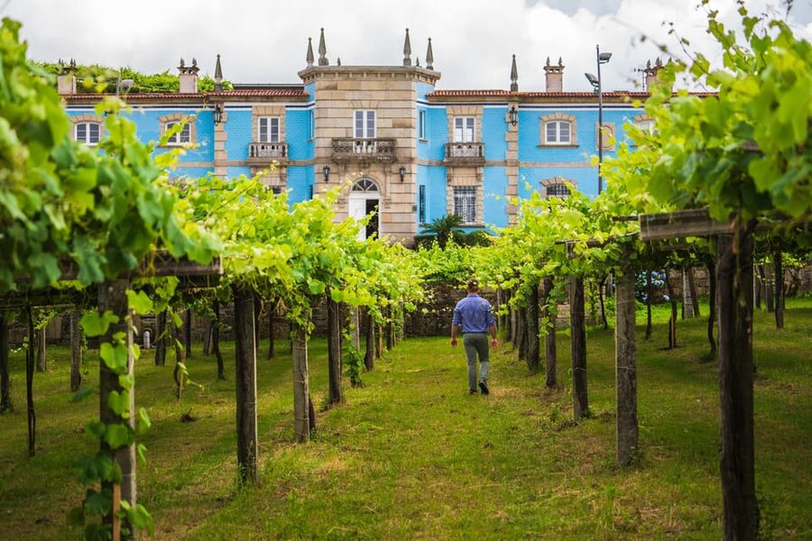 Granbazán Winery: Guided Tour and Wine Tasting - Inside the production area