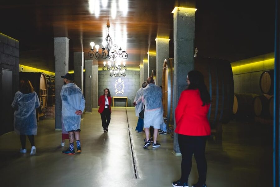 Granbazán Winery: Guided Tour and Wine Tasting - The four-wine tasting, one glass at a time
