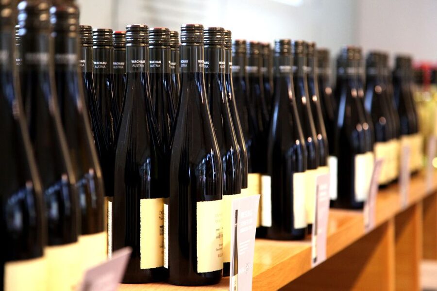 Grape Grazing: Wachau Valley Winery Biking Tour - Group size, pace, and practical comfort